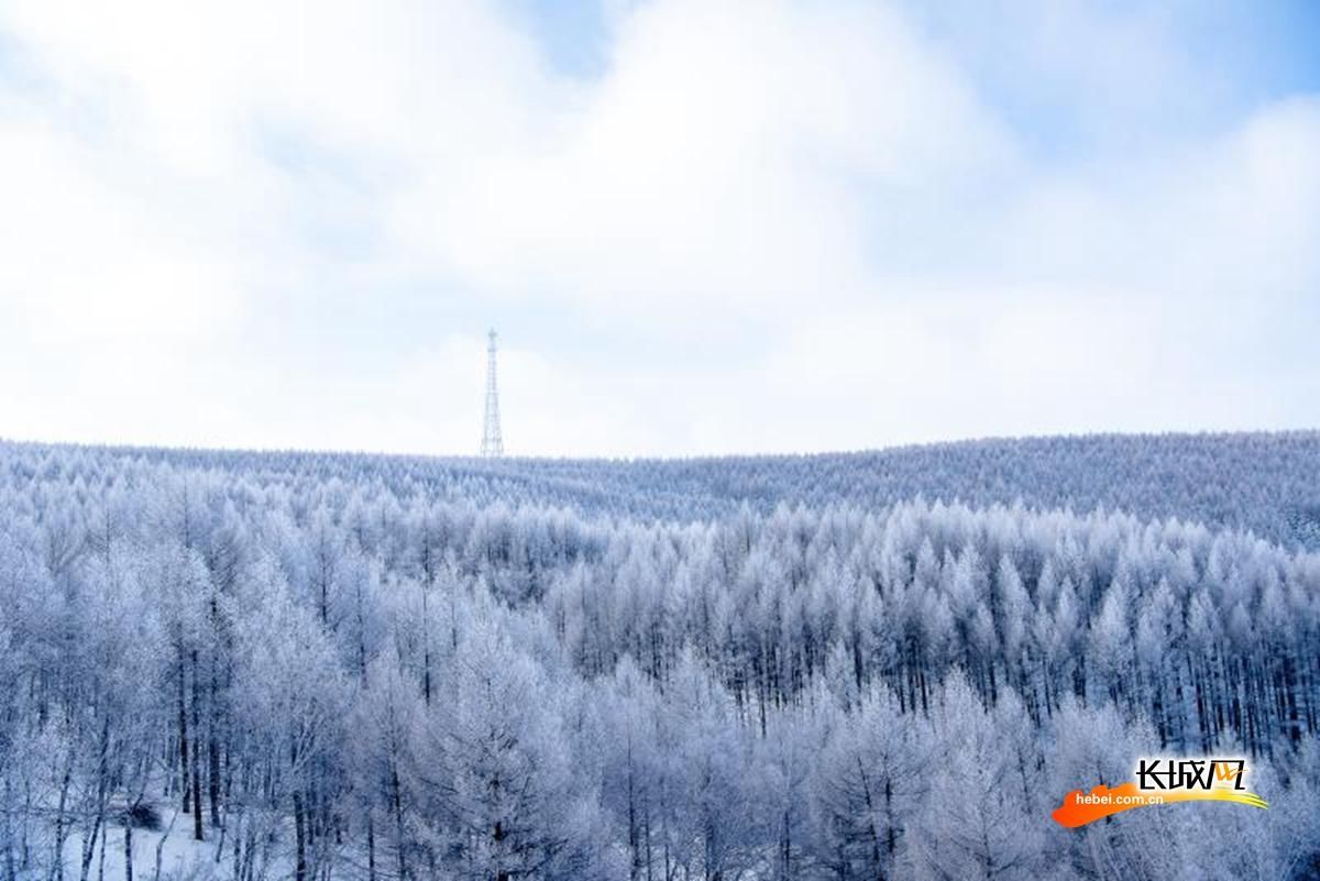 塞罕坝|高清组图｜塞罕坝·雪