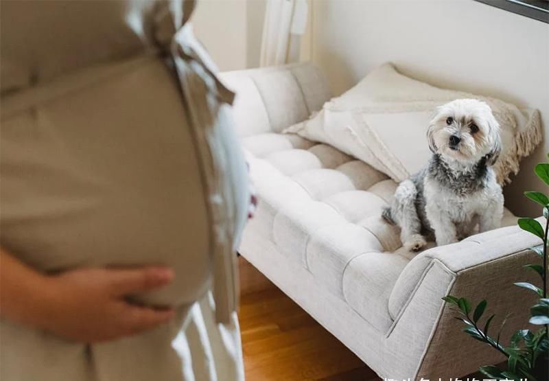 检查|为什么不同医院检查,预产期可能不一样,如何推算怀孕具体日期?