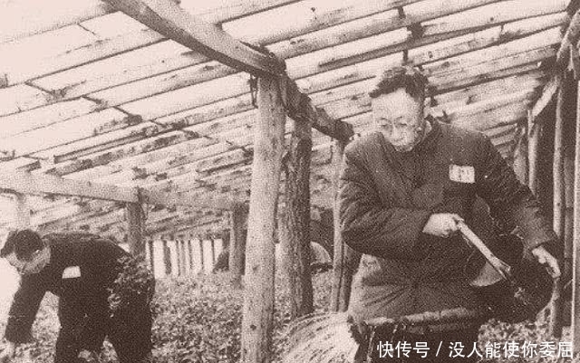 工资|溥仪第一次拿到60块工资,立马跑去买1样东西,专家:不愧是皇帝