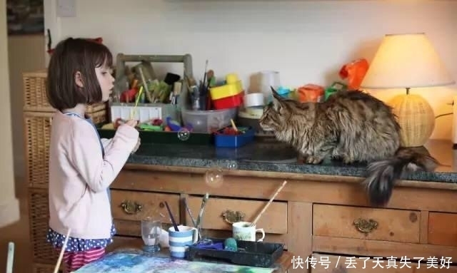 画家|7岁自闭症小女孩,天生就是画家,画作已卖到几百万英镑