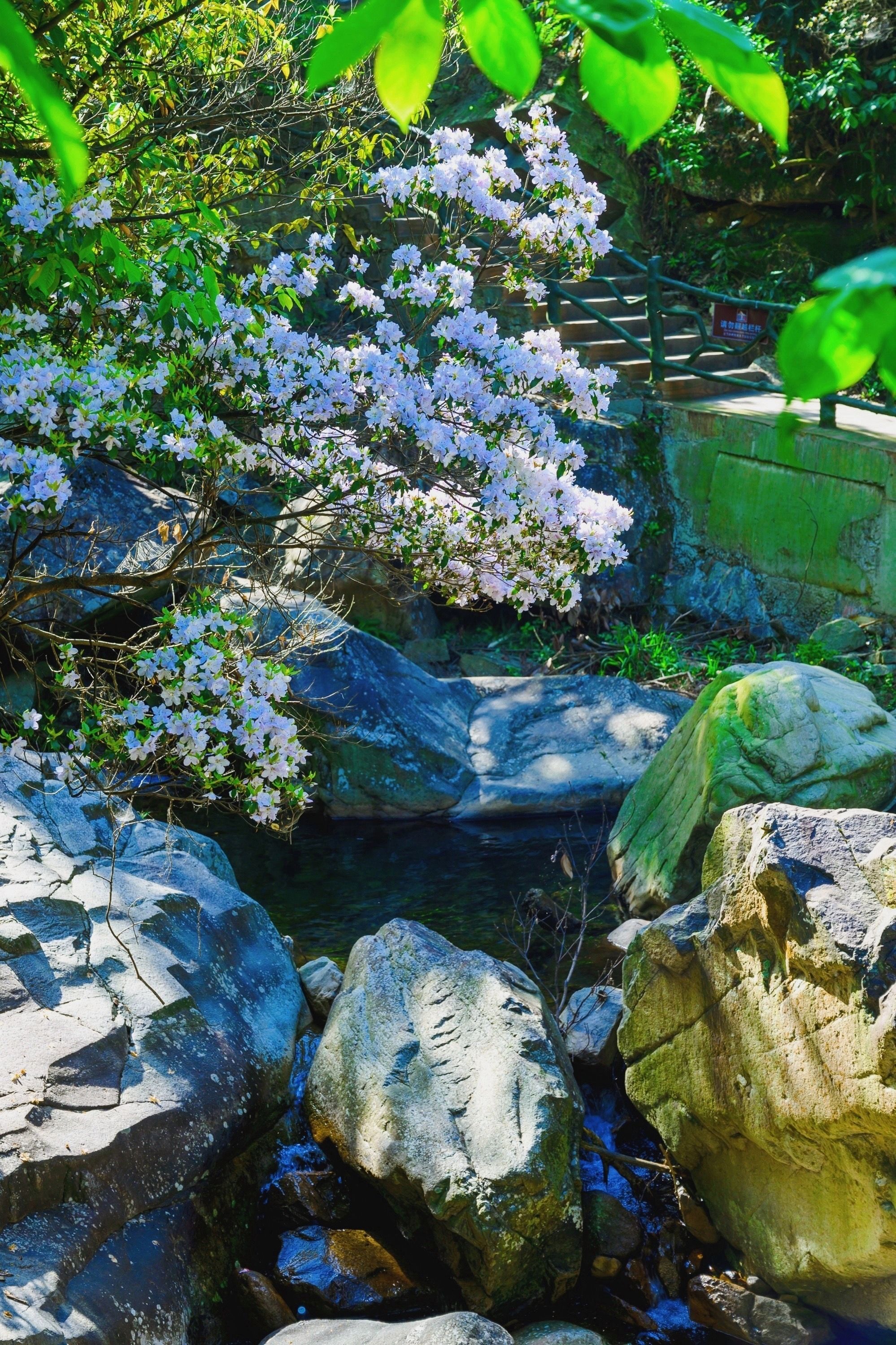 安吉浙北大峡谷，北纬30度线上的奇特山景，九大游乐项目等你挑战