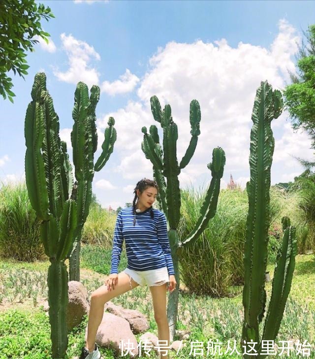 《奔跑吧》导演原班人马打造又一档爆款新综艺，张雨绮陈学冬加盟