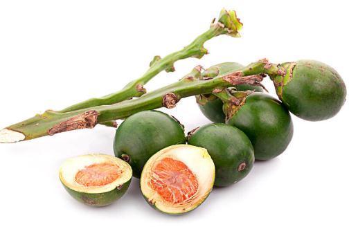 何首乌|这十种中药,用好是良药,没用好是“毒”药