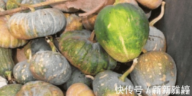 南瓜|世界上有毒的三种蔬菜,个个伤肝,你却经常端上桌!