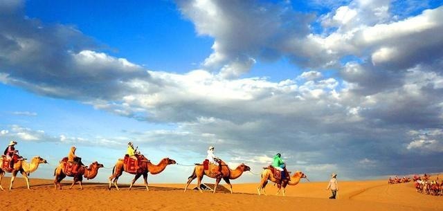 马未|马未都主席提到的这件宝物,世界上仅存2条,其中一条在我这!