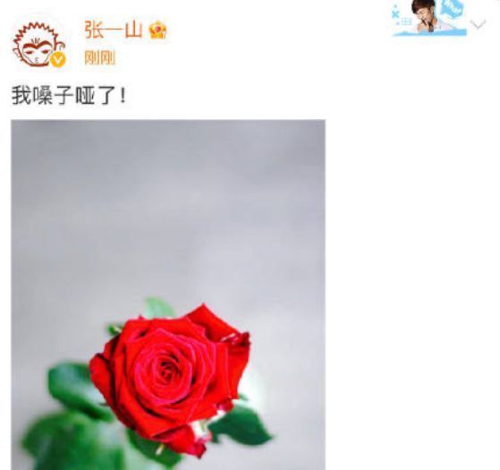 |群星发文贺中国女足:潘粤明幽默,李宇春走心,张一山最像真球迷