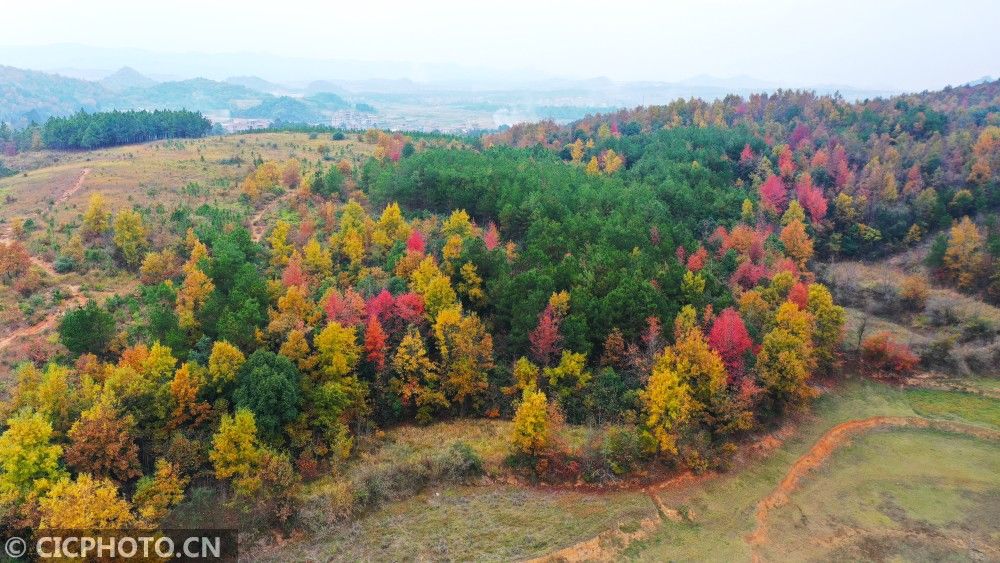 初冬|湖南新田：多彩初冬景色如画