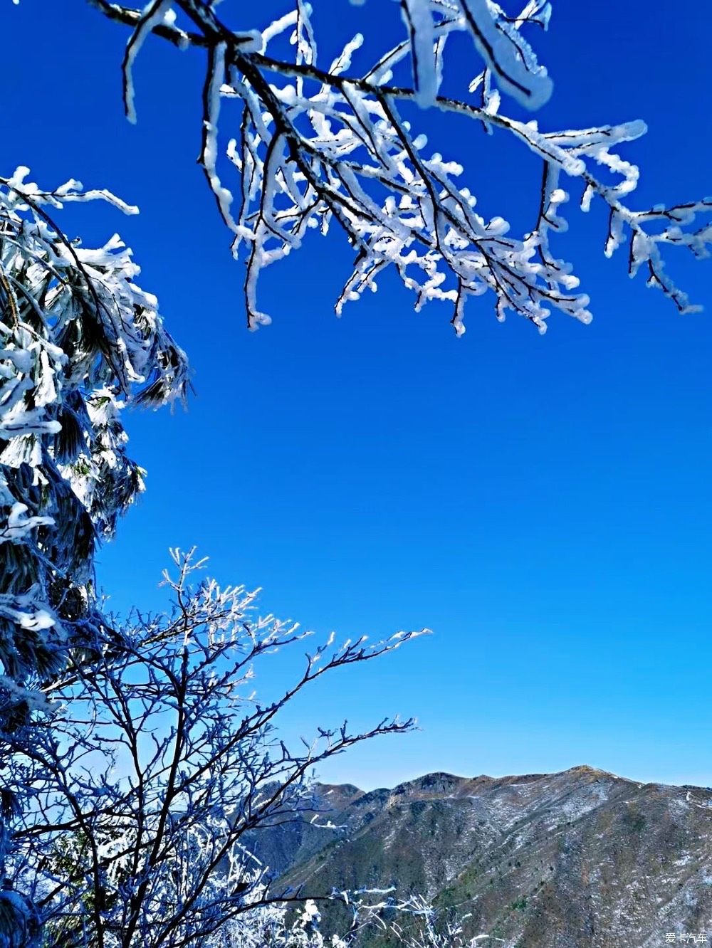 西藏|冬天的雪是上帝写给人间的诗