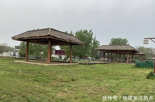 冷落|失落的贾湖遗址②尴尬!贾湖遗址惊艳了世界却冷落在民间