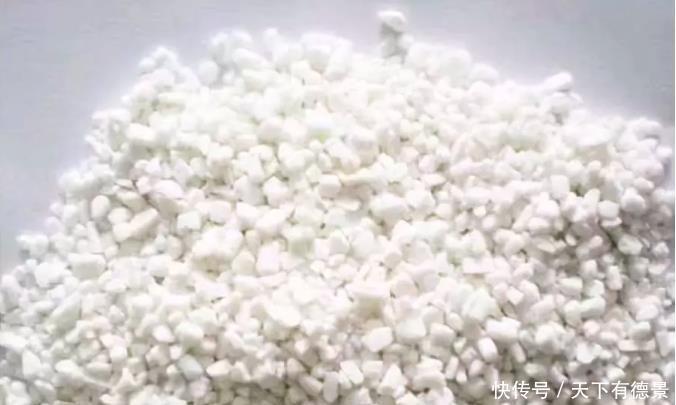 多肉植物施什么肥料,多肉6种常用肥料