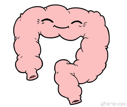 肠道|肠道干的活，可没那么简单