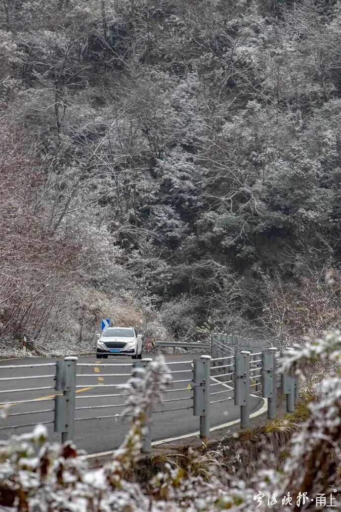 来访|初雪来访，宁波四明山这条公路迎来游客打卡！现场美成这样