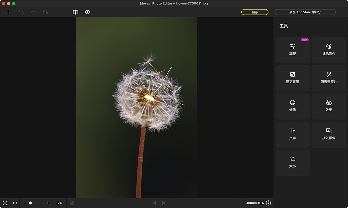 Movavi Photo Editor for Mac v23.0.3 MAS 照片编辑处理-下载否