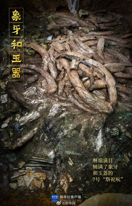 发掘|三星堆发掘刚进入高潮阶段 更多惊喜还在后面