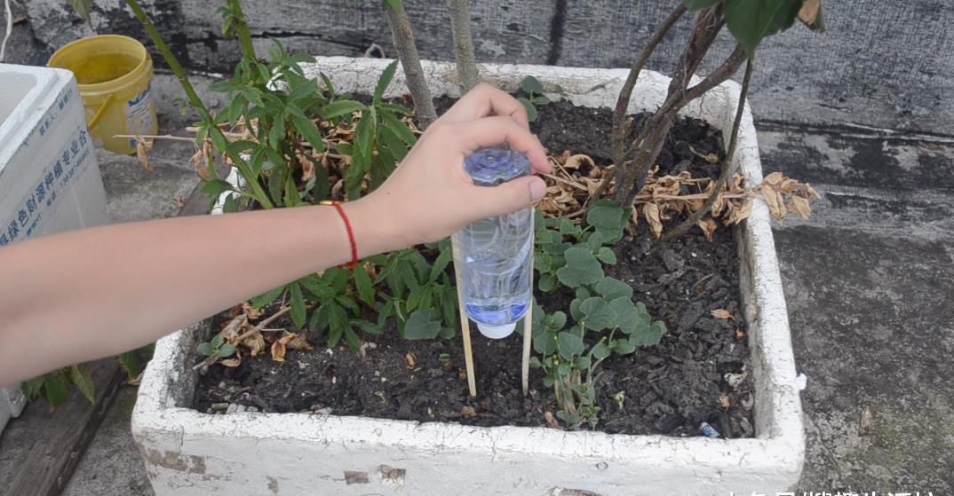 家庭|塑料瓶上绑2根筷子, 这个作用太棒了, 解决了很多家庭的烦恼