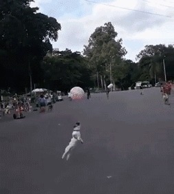 |搞笑GIF:老婆太厉害了 她说这样晾衣服干的比较快