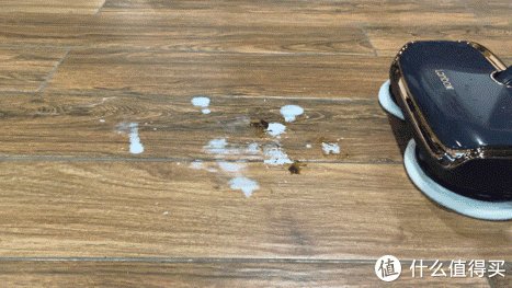 消毒片|能闭眼入的电动拖把有多好用