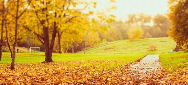 四物汤|千古补血第一良方!简单4味药,气血双补,美容养颜,做冻龄女神