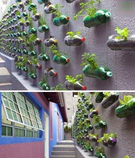 空中|房子小,咋养花?那就造一个空中花园