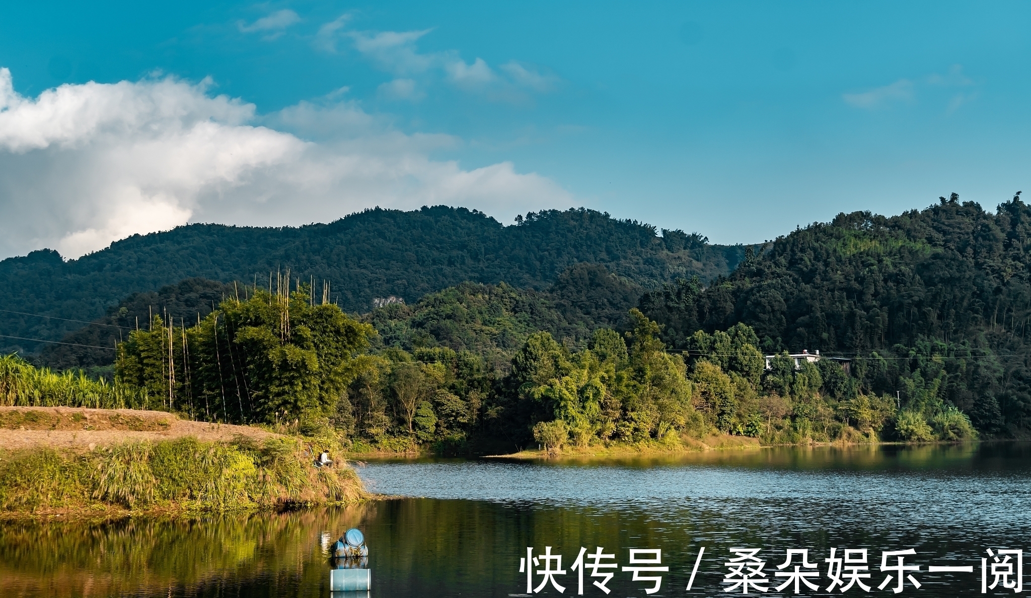 秋季钓大鱼,为何不选深水?鱼说:“我也是这么想的”!