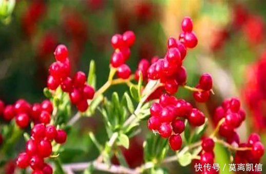 医生认为肝脏不舒服,多吃3种食物,促进肝脏排毒,护肝养肝