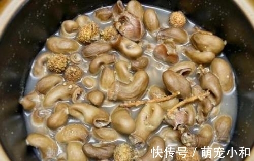 鱼肚|这道菜是“厌食”的克星,三天两头吃一回,健胃消食,胃口大开!