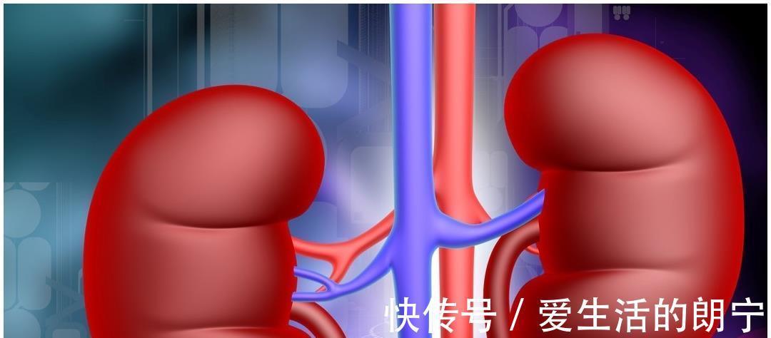 利尿剂|长期服用降压药，会影响肾功能么？高血压病人如何护肾呢