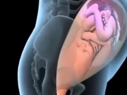 过程|顺产的全过程到底是怎样的,生而为人需了解,请勿泪奔