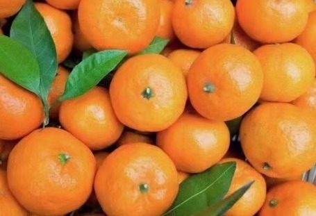小知识|再三提醒看见此橘子不要买,更不要吃,知道为什么吗