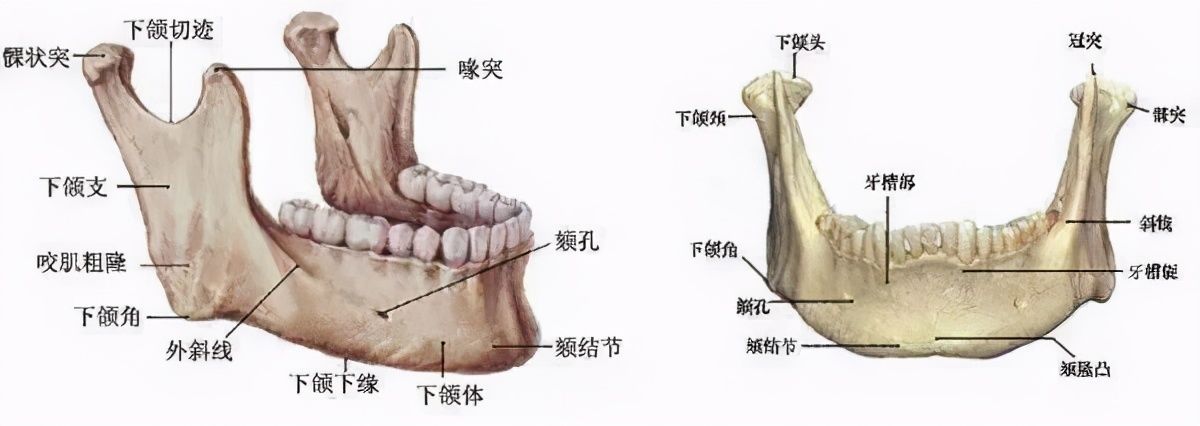 微整形：这样的下巴你见过吗？下巴生长因子取出有多难？