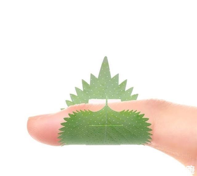 花生|日本设计脑洞有多大读完这些，你将明白