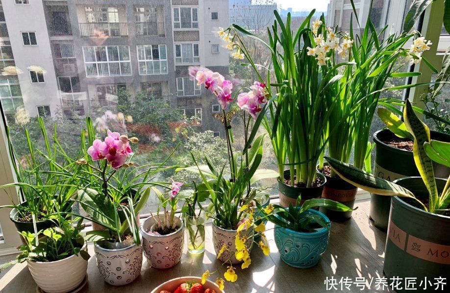 阳台养花“三大件”，其中两种不必买，可以自己做，养花更好用