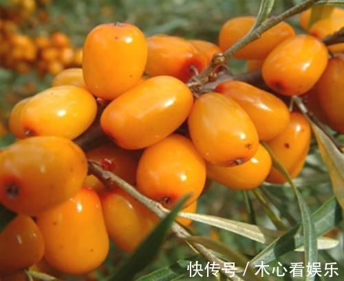 强身健体|一旦发现孩子出现7个表现,说明脾胃已经“弱爆了”,及时健脾