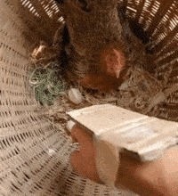 |搞笑GIF趣图:不愧是神车,把前面的大哥都看呆了!