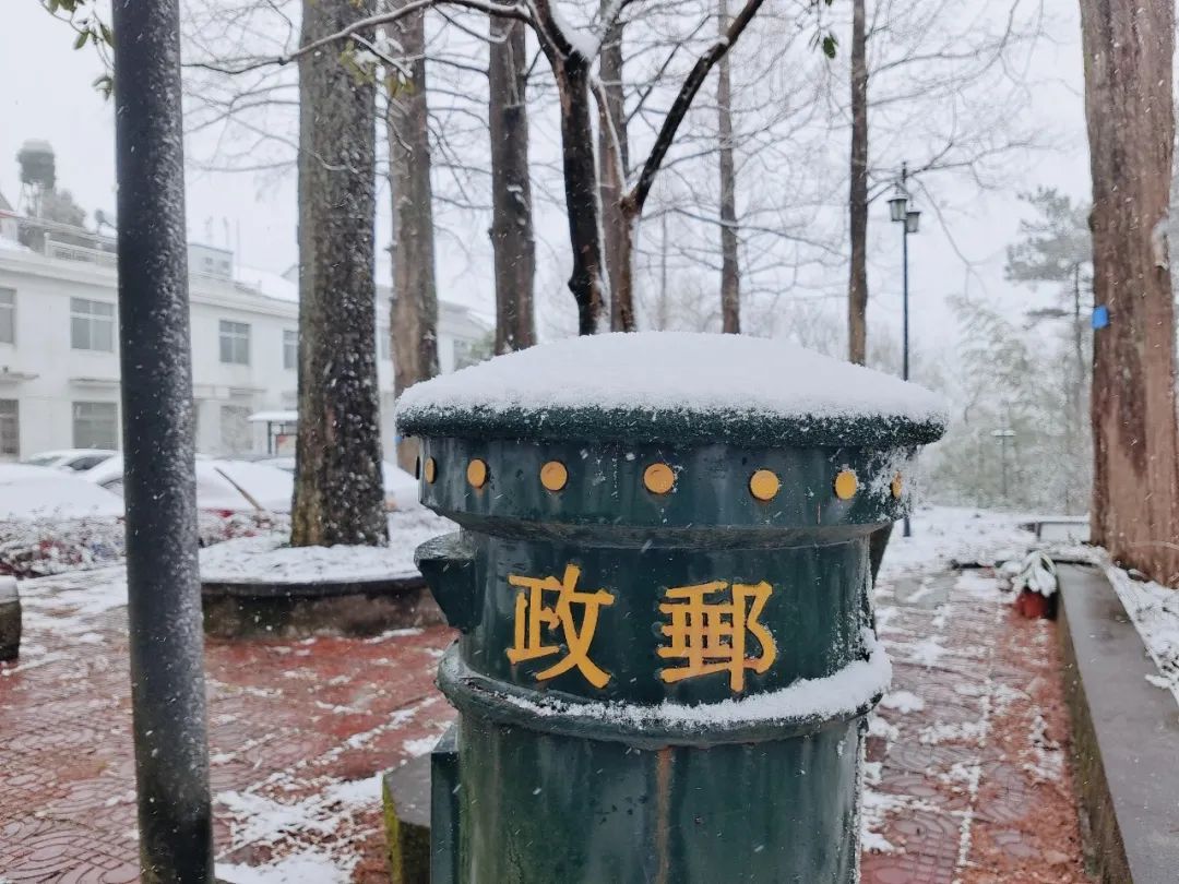 雪景|太美了！台州最新雪景！括苍山跌至-10℃，再现云海奇观（多图多视频）