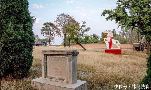 对人类贡献最大的一种动物,没有它,人类的发展不会如此迅速