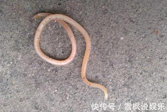 小两口|宝宝睡觉出现这个情况,一定要重视,很多父母不当回事!