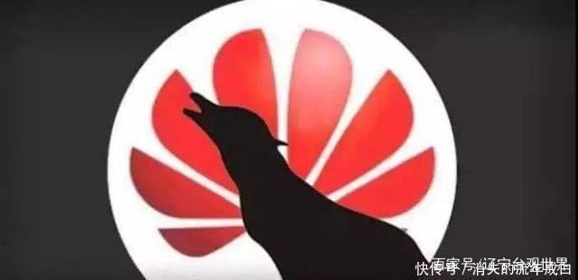 上场|好消息!华为“三只狼崽”上场,没想到任正非还留有后手