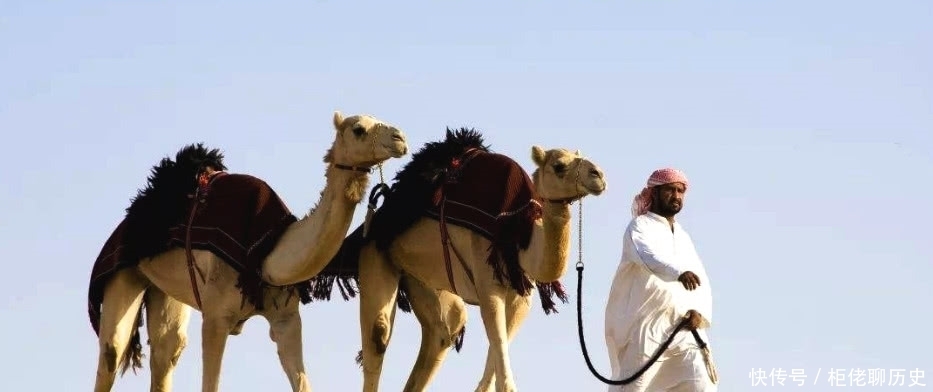 阿拉伯人|持续百年翻译古代经典,按页数算钱,这些阿拉伯人到底要做什么?