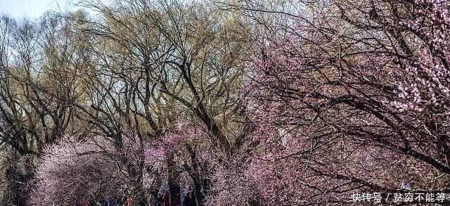 宋诗里最不容错过的一首诗,律回岁晚冰霜少,春到人间草木知!