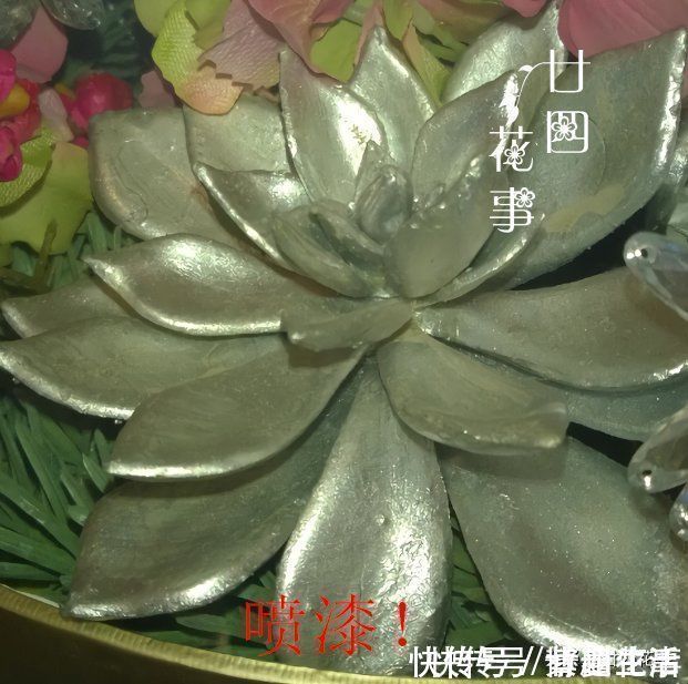 花盆|花贩子不小心说漏嘴的秘密:4种花再漂亮也别买,买了只会添堵