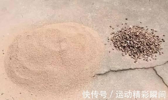 煤渣确实可以养多肉,但是你要注意这几点