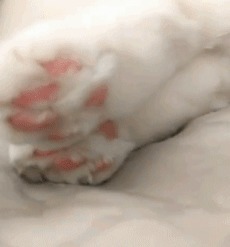 |搞笑GIF段子:这样的骑士小姐姐,我也想做她男朋友