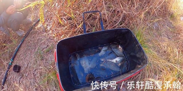 冬季钓鲫鱼,打窝后多久下杆最适合传统钓要注意时间