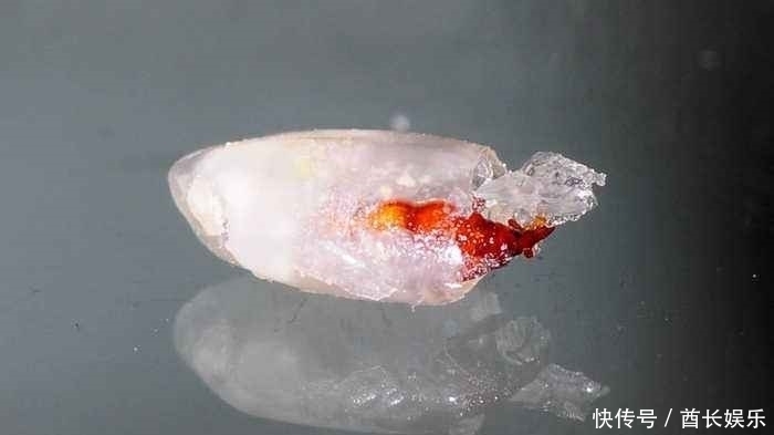 米放久了会有虫子,那这些虫子都是哪里来的呢