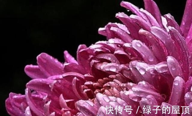 生肖|未来7天，旧情人挽留，深情不改，3生肖无法拒绝，再次牵手更恩