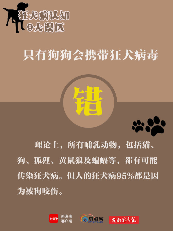 误区|世界狂犬病日，带你了解狂犬病9大认知误区