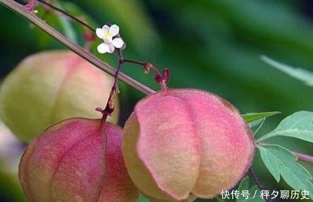 爷爷|爷爷的告诫:人到五十,牢记这四句忠告,否则灾祸将至!