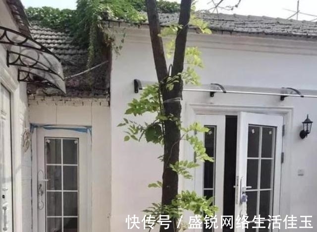 三合院|女子“爆改”破败三合院,巧变花园豪宅,父母住进来不想走,显摆