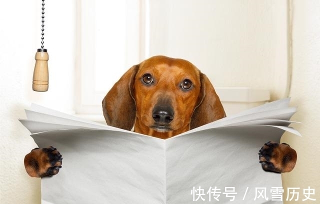 养生|坏习惯可能要命,养生黑名单:减少寿命的十个坏习惯